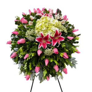 Lágrima Pedestal Rosada